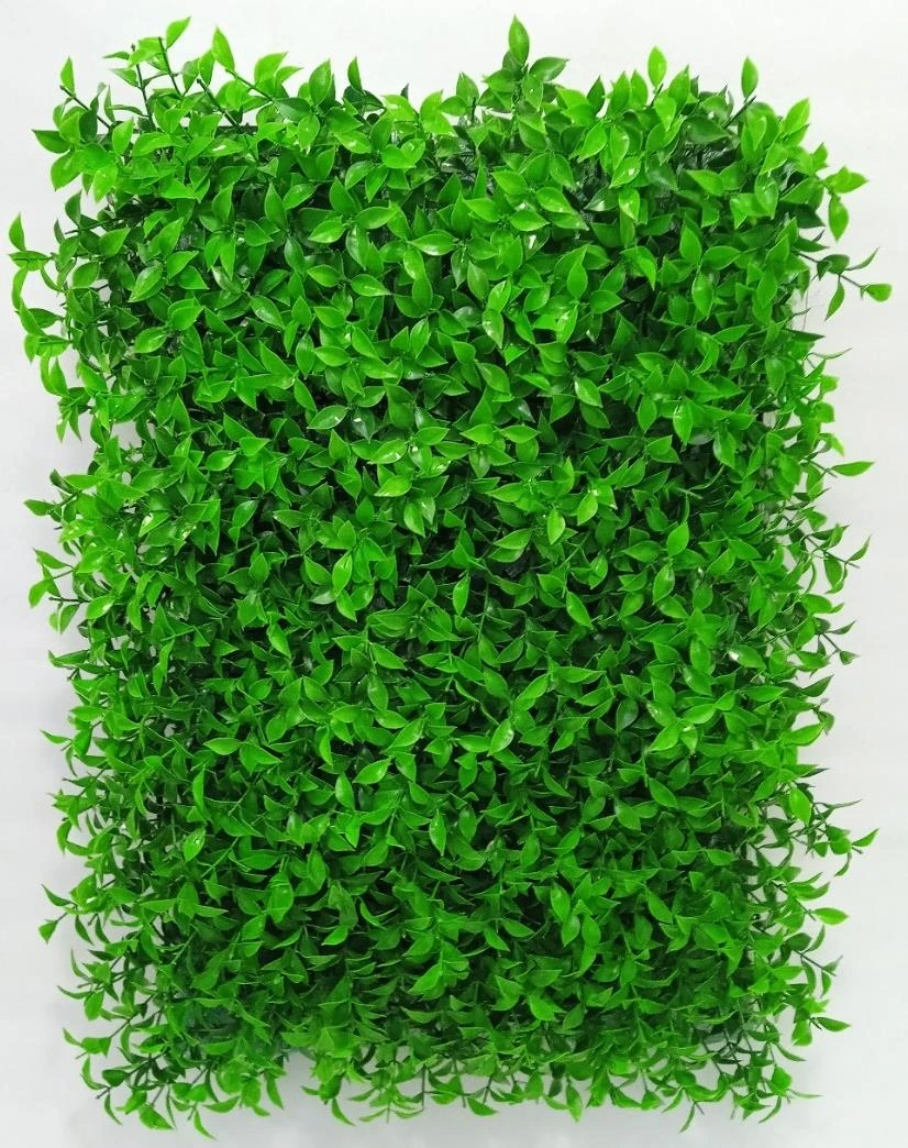 Ruscus Hoya Bella Leaf Mat 40x60cm